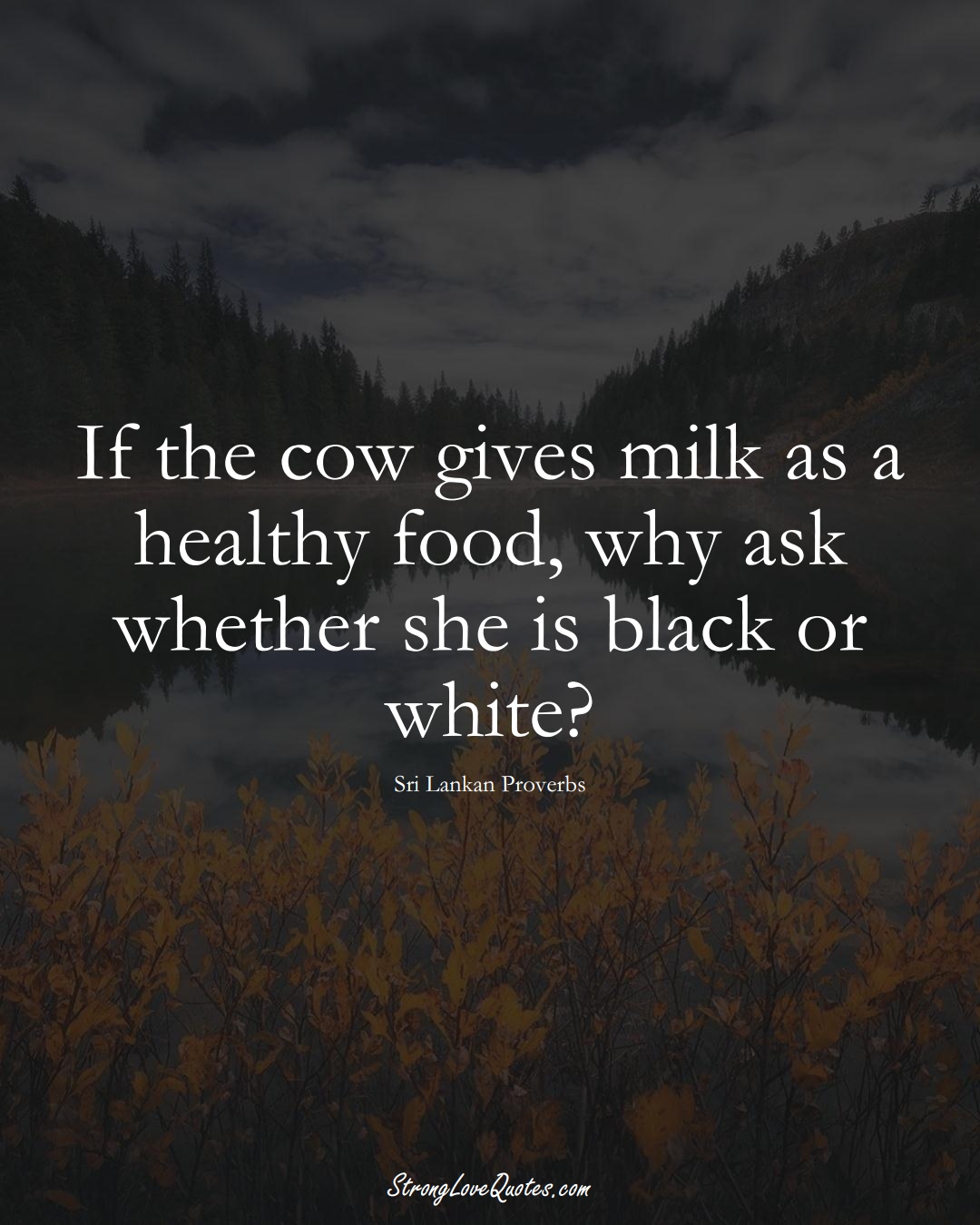 If the cow gives milk as a healthy food, why ask whether she is black or white? (Sri Lankan Sayings);  #AsianSayings