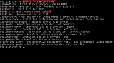 Cara Konfigurasi DNS Server di Linux Debian 8 "Jessie"