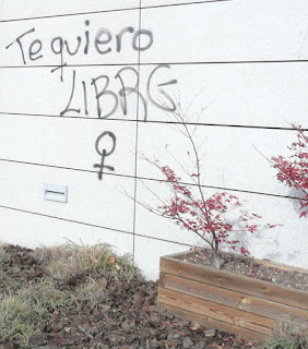 Pintada "Te quiero libre" y el símbolo femenino. Al pie de la pared unas florecillas rojas en parterre contrastan con el blanco del muro.emenino !ng