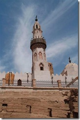 Immagine 165 (Small)