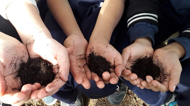 Prefeitura de Taubaté realiza diagnóstico e visita técnica em Escolas Municipais para a retomada do projeto "Horta na Escola"