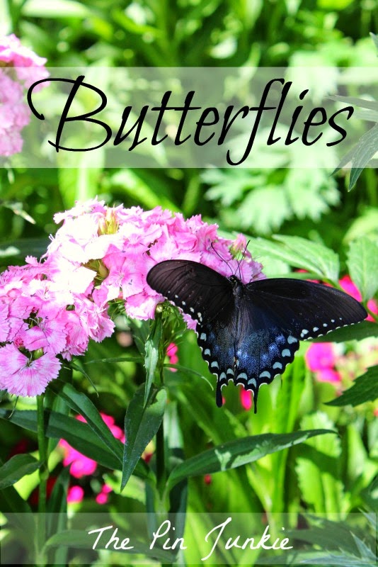 http://www.thepinjunkie.com/2014/06/butterflies.html