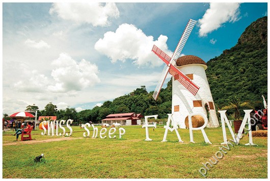 Swiss sheep farm ở Hua Hin