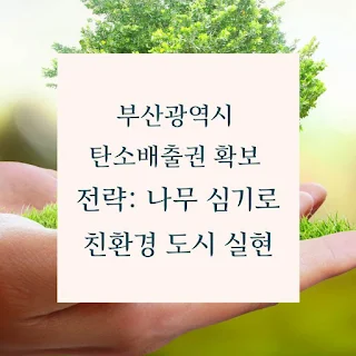 부산광역시-탄소배출권-확보-전략-나무-심기로-친환경-도시-실현