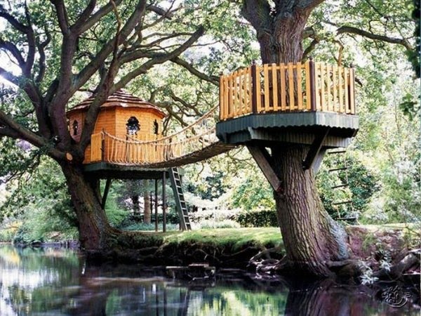 Creative Tree House Ideas around the world