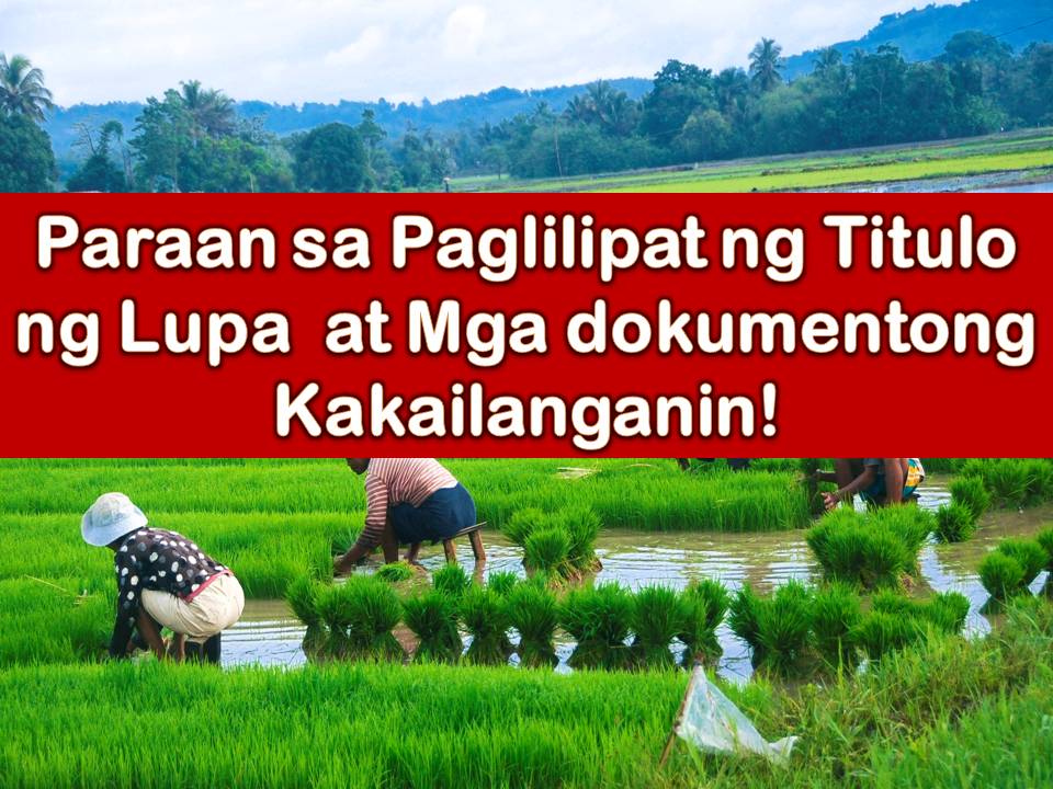 There's a lot for sale, be it a vacant lot or agricultural lot. You are interested. You pay the seller. So now you think the property is already yours? Not yet, unless you can provide a new land title where your name is stated as a new owner.  Processing of land title transfer is one of the tedious parts of owning a property in the Philippines.  Completing the process of transferring land title from the previous owner to you as a buyer and a new owner is considered to be the most crucial steps.  This is an important legal process because the buyer will now have a public record declaring him as a new owner of a particular property as a protection for investment and to avoid ownership issues in the future.