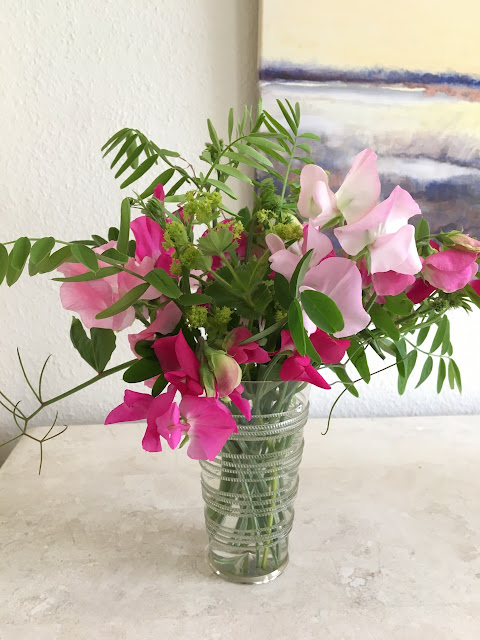 Lathyrus met vrouwenmantel