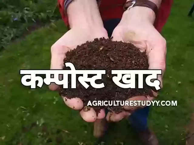कम्पोस्ट खाद (Compost meaning in hindi) क्या है, यह कैसे बनाई जाती है।