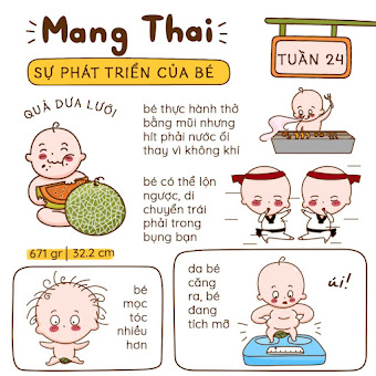 Kiến thức mang thai Tuần 24