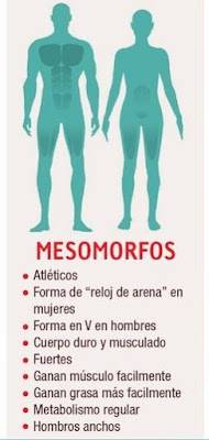 Cuerpo mesomorfo