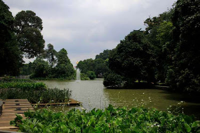 Kolam Gunting Kebun Raya Bogor