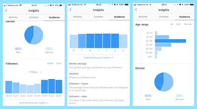 ¿Cómo auditar una cuenta de Instagram?