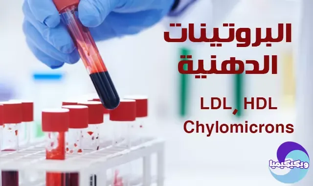البروتينات الدهنية LDL, HDL, Chylomicrons