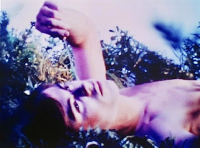 A shirtless, dark haired young man relaxes in nature, studying  a blade of grass