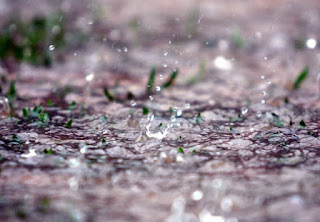 Emater divulga balanço dos prejuízos da chuva para a produção rural