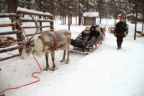 Reindeer Sleigh Ride Finland