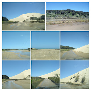 photo du lit de te Paki accès à 90 mile beach Nouvelle-Zélande