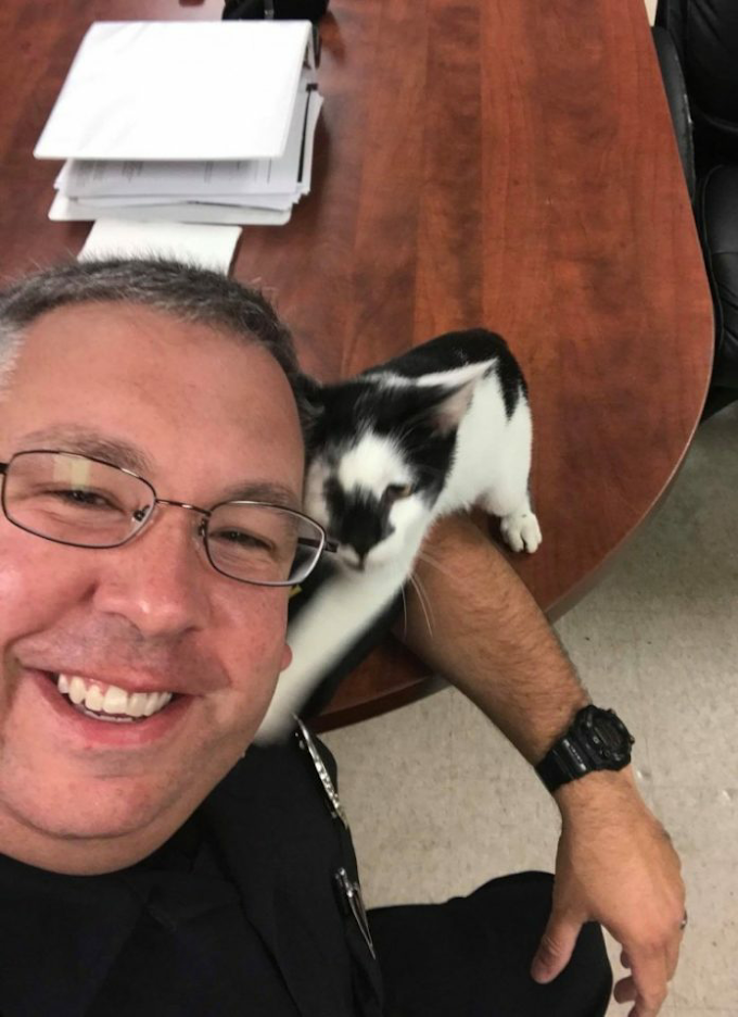  A stray kitten sneaks into a police station and chooses an officer as her new family.