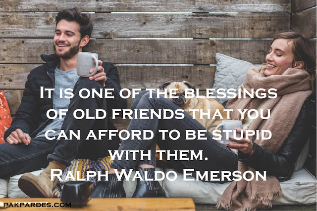 Friendship Funny Quotes