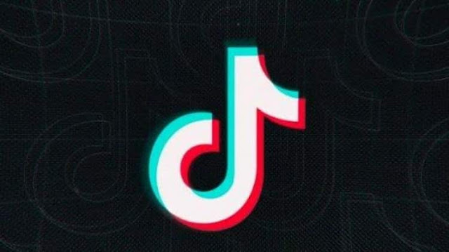 Video Downloader TikTok video