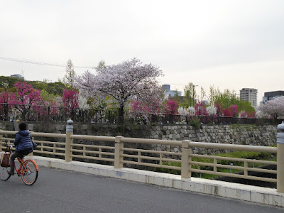 新鴫野橋と大阪城桃園（Peach Grove）