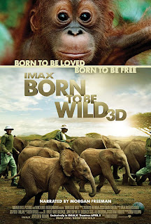 Born To Be Wild movie