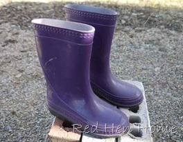 boots, enamel, Rachel 001