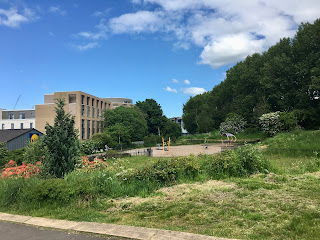 A playground in an overgrown park.