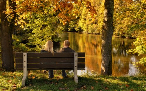 Couples sitting on bench