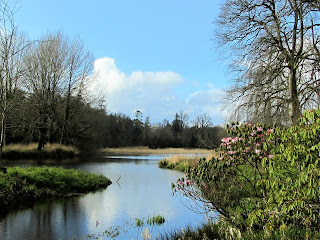 Birr Castle Lake View