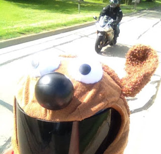 Dog Motorcycle Helmet Cover