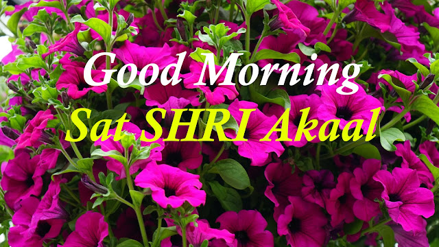  Good Morning Sat Shri Akaal 