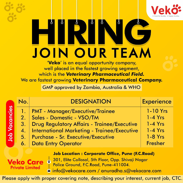 Job Availables, Veko care Pvt Ltd Pune Job Vacancy For PMT/ Sales/ RA/ International Marketing/ Purchase/ Data Entry