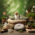 Why Your Dog Deserves an Eco-Friendly Lifestyle in 2025