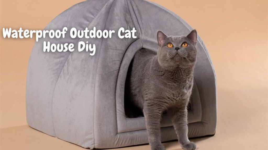 Waterproof Outdoor Cat House Diy