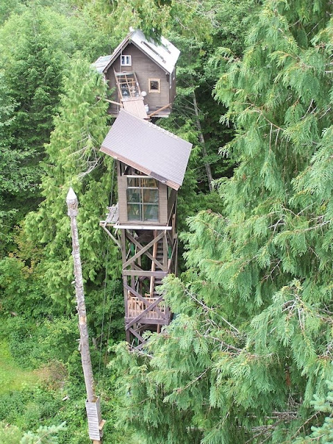 Top 10 Shaky Treehouses