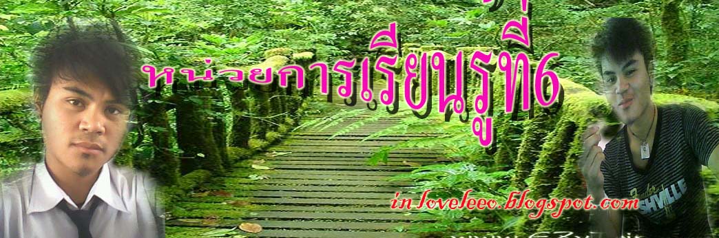 หน่วยการเรียนรู้ที่ 6 อินเตอร์เน็ต