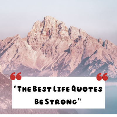 The Best  5 Life Quotes