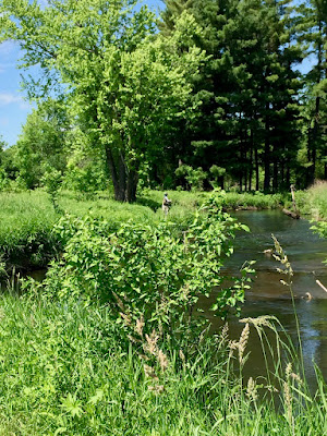 Kinnickinnic upstream of River Falls