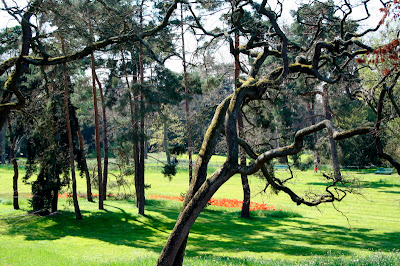 Le Parc de Bagatelle