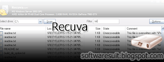 Recuva Professional Crack Portable Free Download