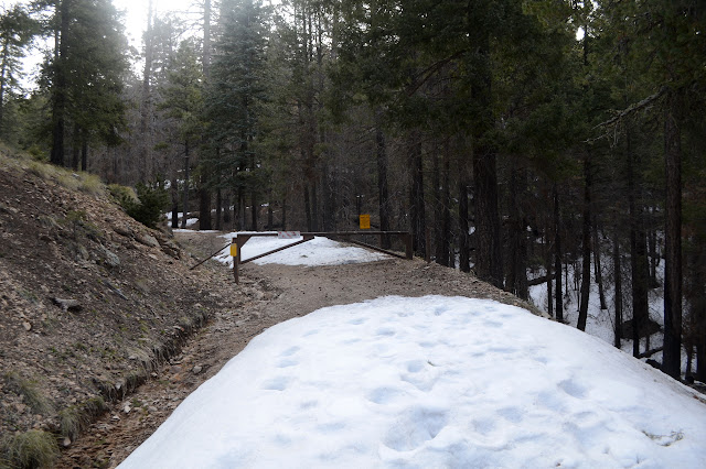 nice solid gate past the snow