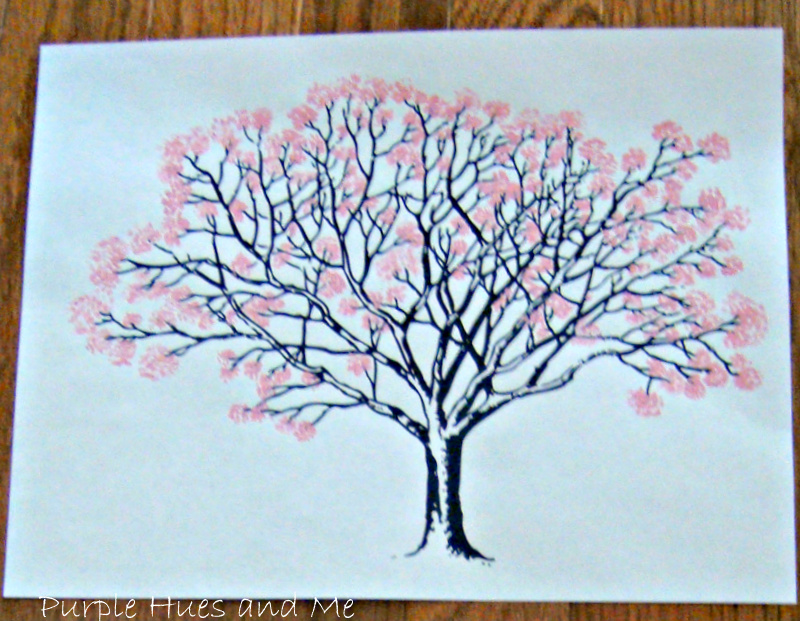 Cherry-Blossom-Trees