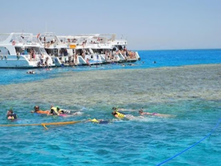 https://www.alltoursegypt.com/public/en/tours/sharm_el_sheikh_tours_to_ras_mohamed_national_park.html-prettyPhoto