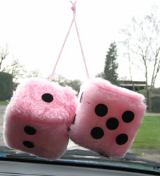 cool car accessories for girls