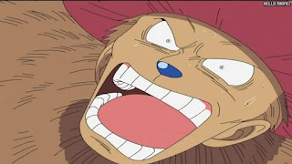 ワンピース アニメ 144話 チョッパー Tony Tony Chopper | ONE PIECE Episode 144