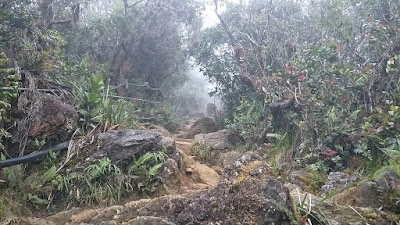 Gunung Kinabalu