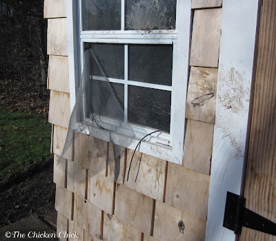 The Chicken Chick®: 11+ Tips for Predator-proofing Chickens