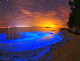 Playa bioluminiscente - Islas Maldivas