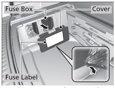 Rear Fuse Box